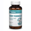 Vitaking Joint Formula Glükozamin + Kondroitin + MSM tabletta 60db